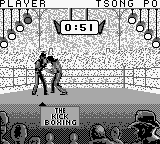 The Kick Boxing screenshot 3 for GameBoy